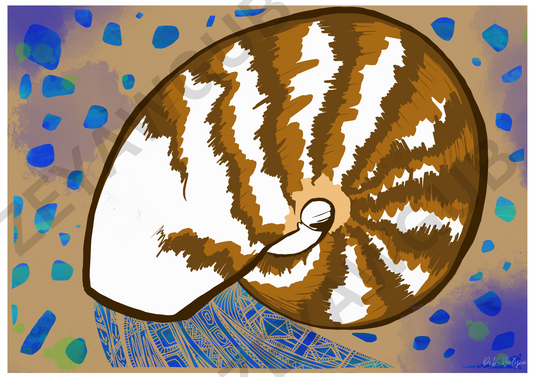 Kawra (Nautilus Shell)